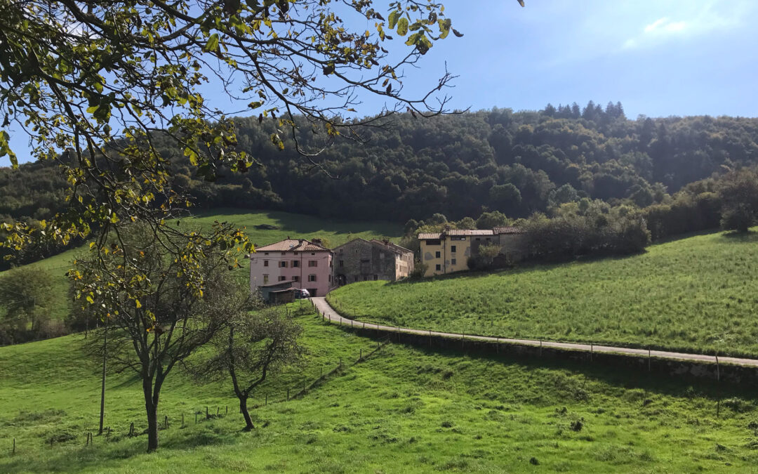 Scopri gli eventi di Lusiana Conco!