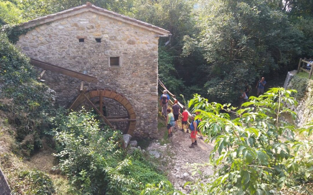 Scopri l’Affascinante Valle dei Mulini di Lusiana!