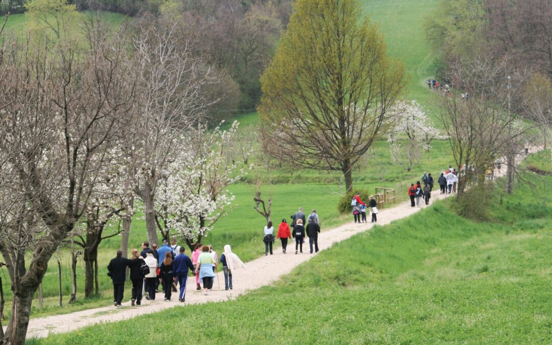 Colceresa e le colline dei ciliegi