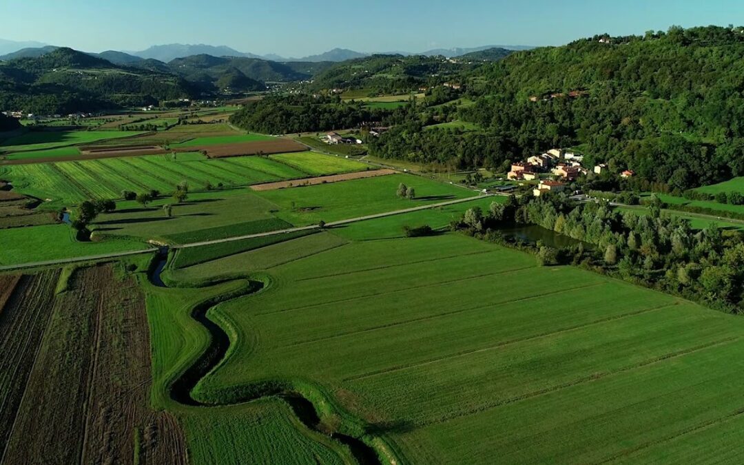 Ortogonale 1