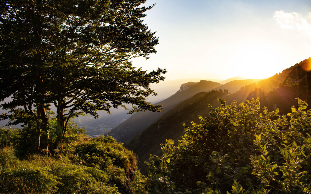 Escursione: Tra le Malghe al Tramonto