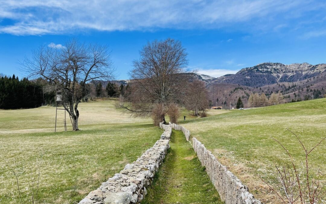 Sentiero Excalibur a Tonezza del Cimone
