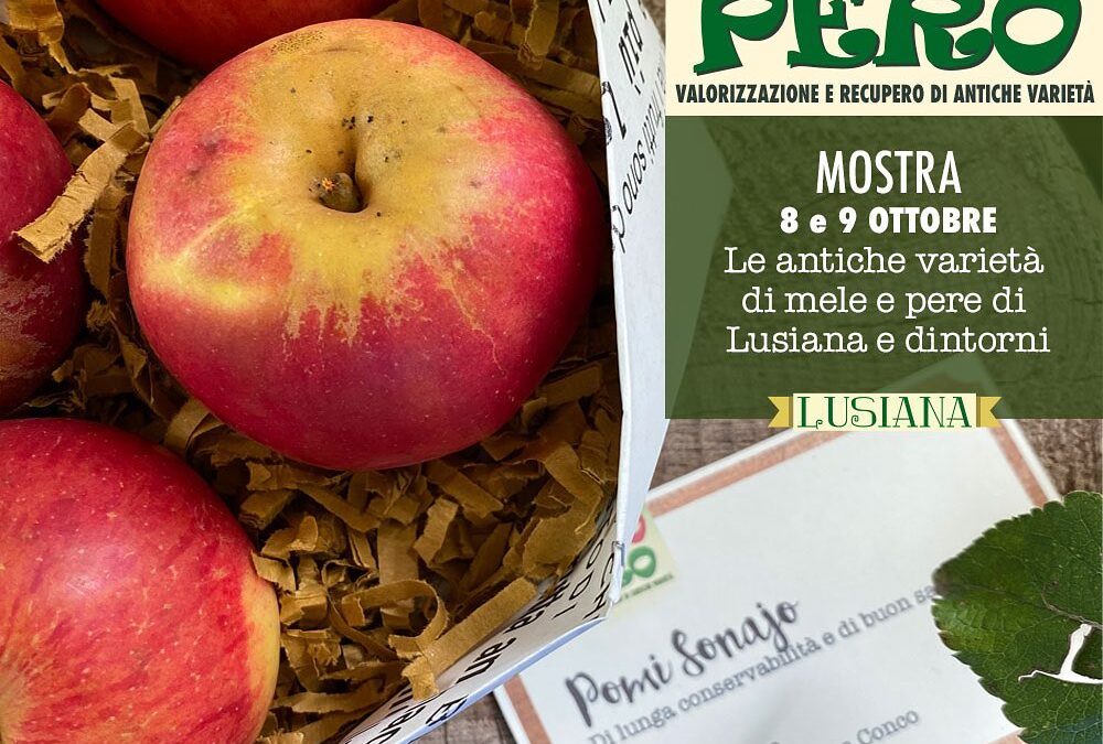 Vivi Lusiana Conco nel mese di Ottobre