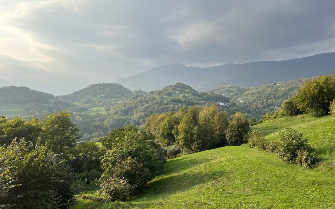 Lungo il Cion e tra i colli del vino