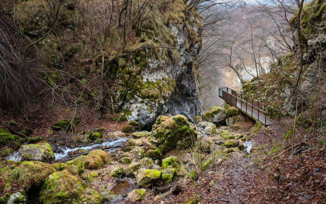 La Cascata di Brazzavalle