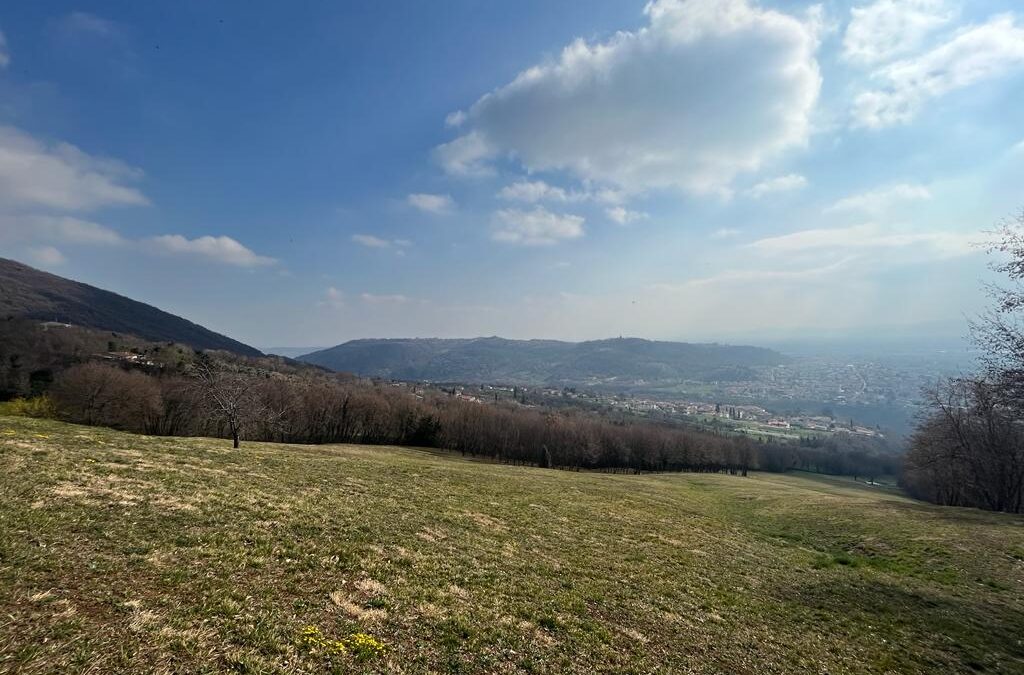 Tra colli e contrà… un passo alla volta