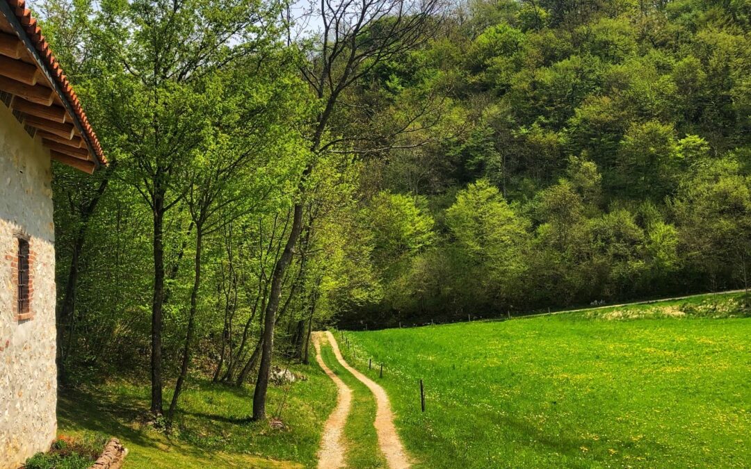 Attraverso il “Feo”, storie e tradizioni popolari