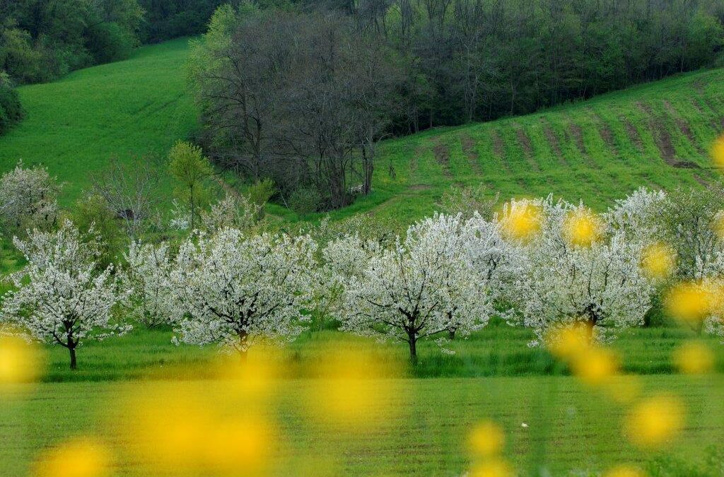 “Inedita Pianezze” – Escursione