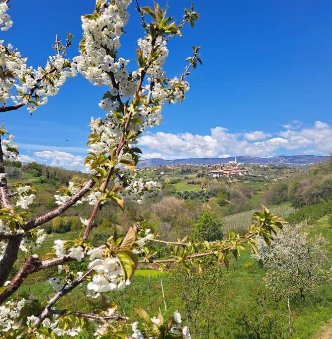 Saliscendi con gusto sulle colline di Colceresa