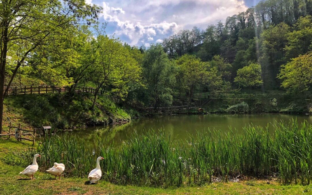 Escursione guidata a Monte di Malo