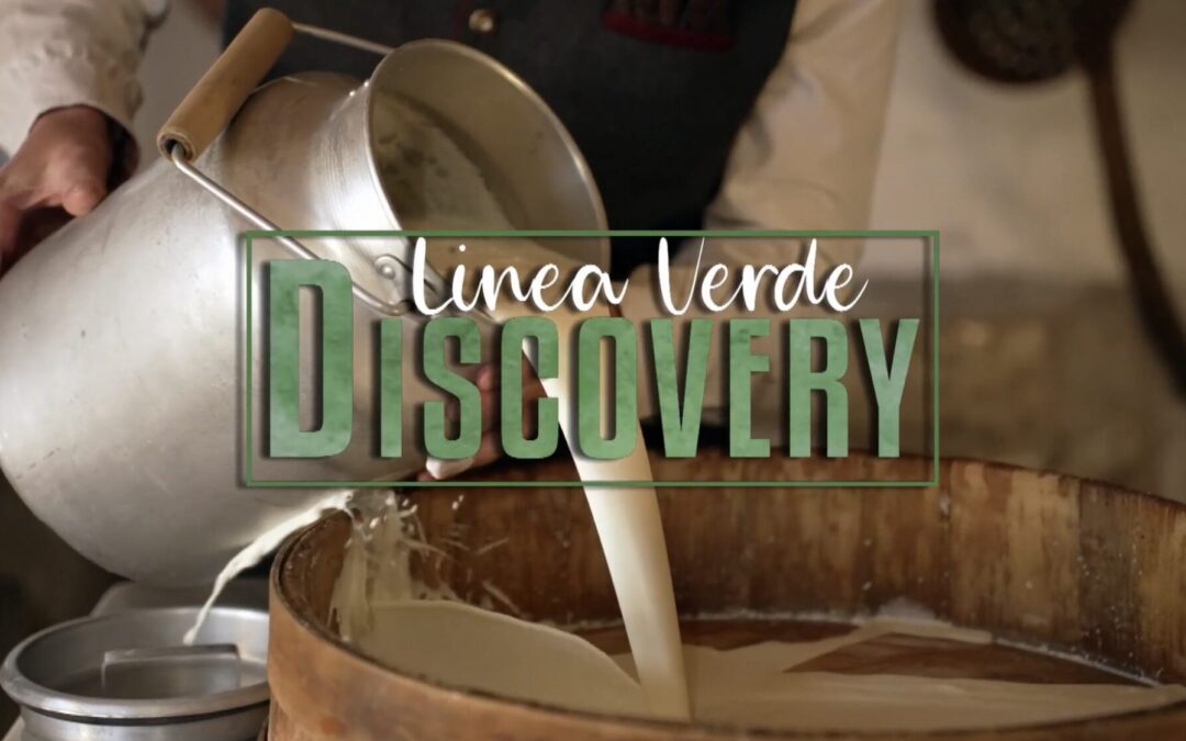 OGD Pedemontana Veneta e Colli a Linea Verde Discovery