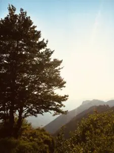 Escursione "2 Passi tra le Malghe al tramonto"