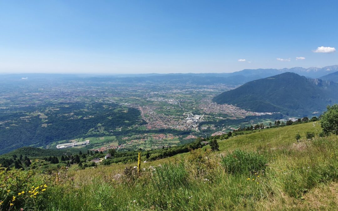 Consiglio Direttivo di OGD Pedemontana Veneta e Colli 2023/26