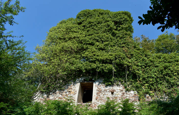 bastia pieve
