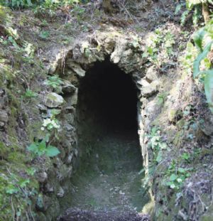 pievebelvicino