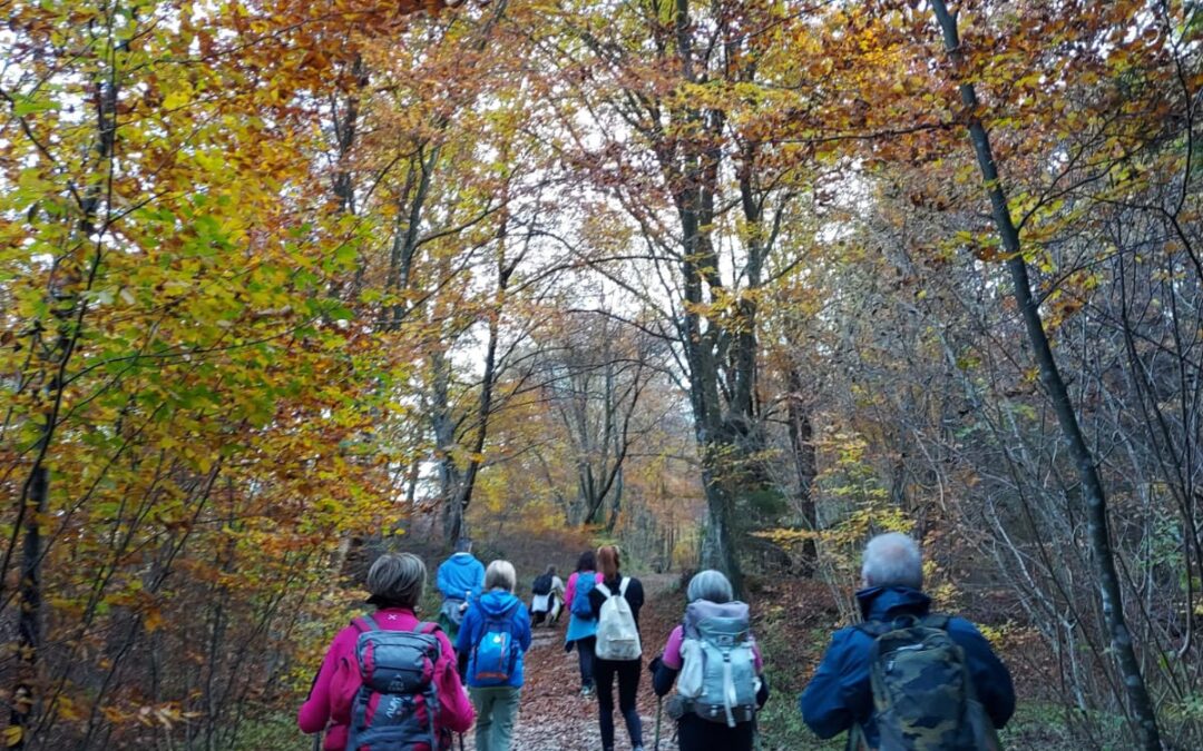 Escursione Tonezza in Foliage