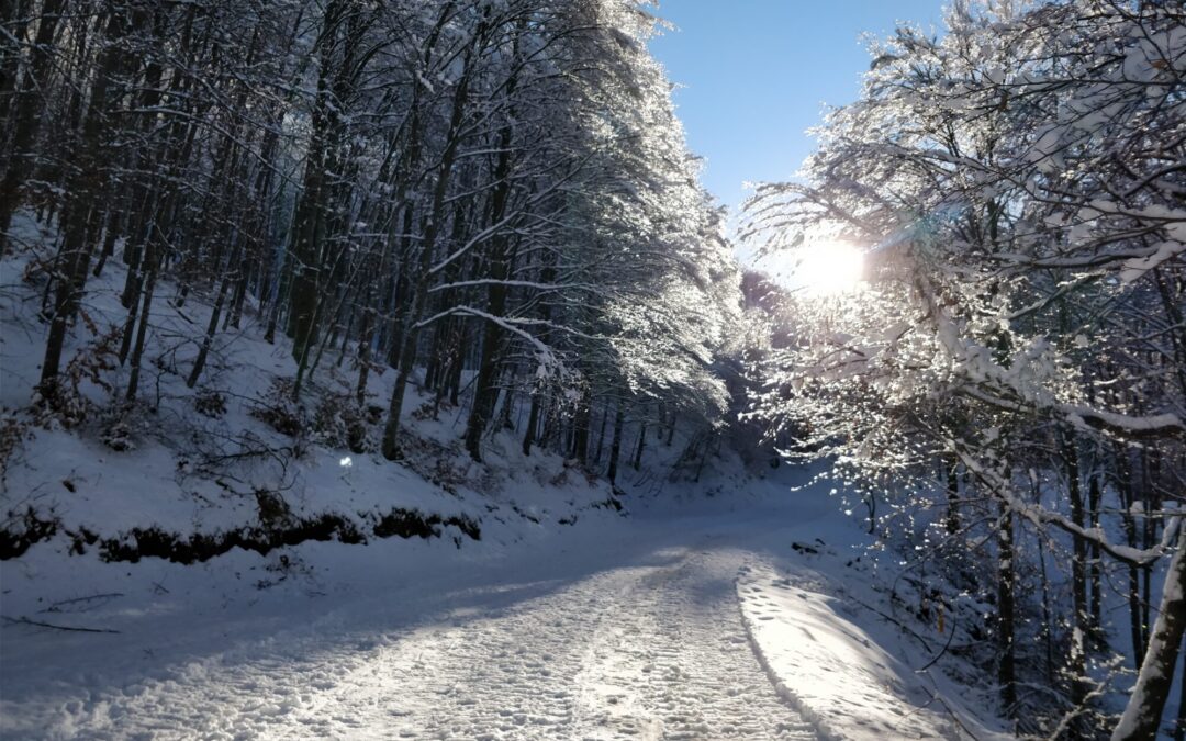 Anello di Campogrosso