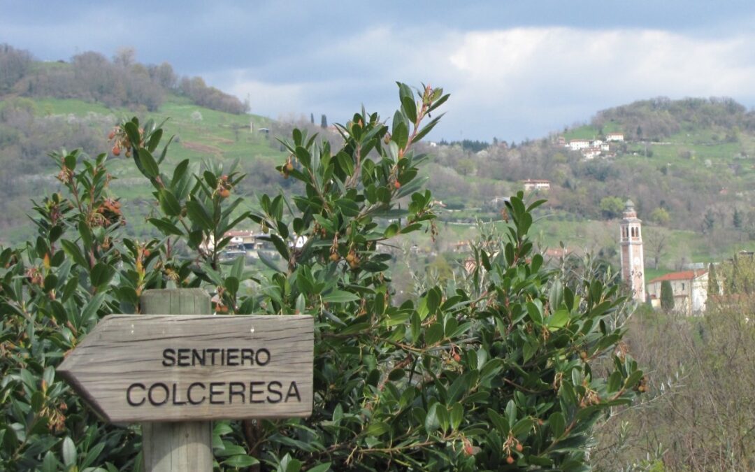 Il Percorso Colceresa