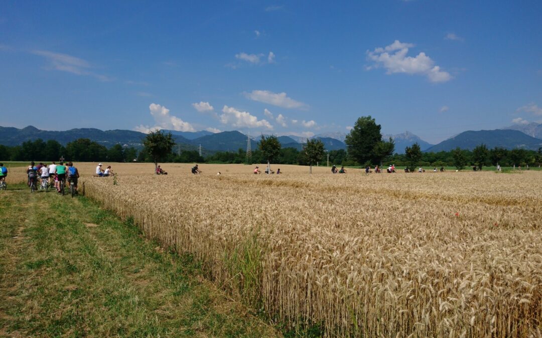 I percorsi di Agritour