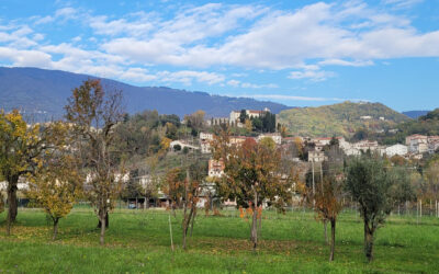 Bregonze: “L’isola che non c’è” nel cuore delle colline vicentine