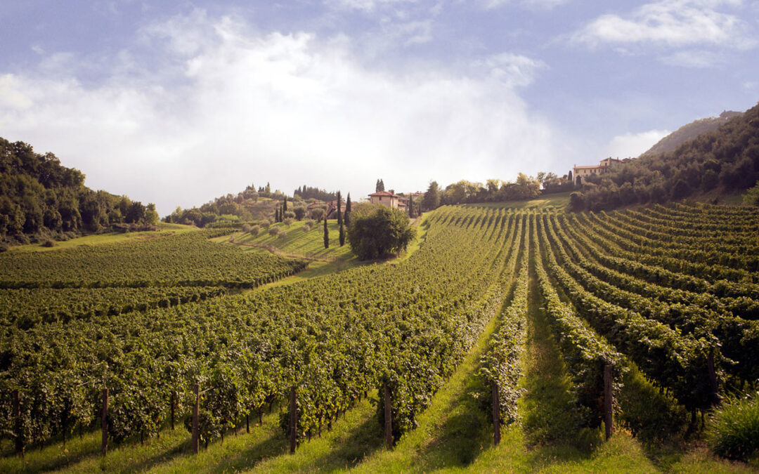 “Pedemontana Veneta: un mosaico di storie, paesaggi ed esperienze da scoprire” di Daniela Devecchi