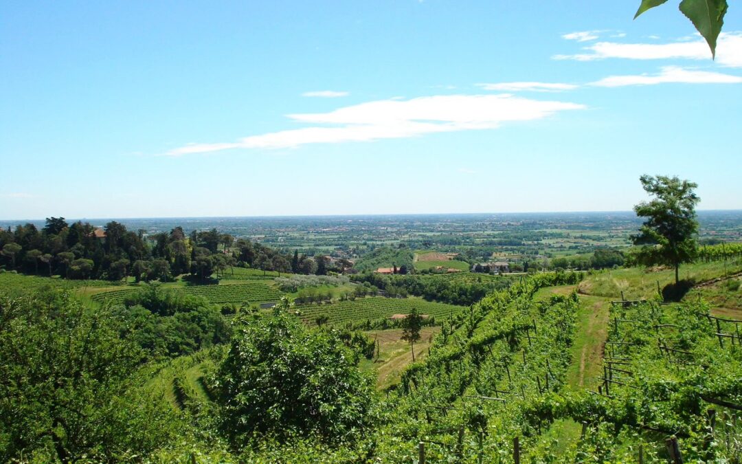 Trend turistico nella Pedemontana Veneta e Colli