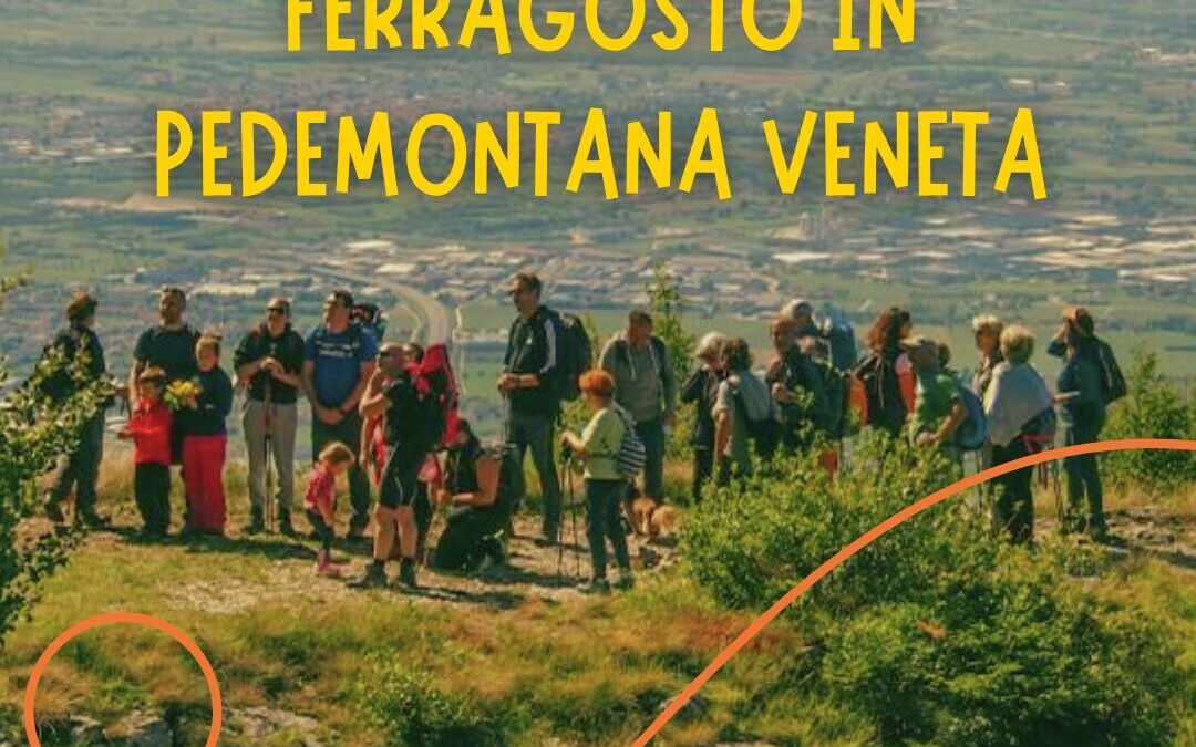 Aperti a Ferragosto 2025