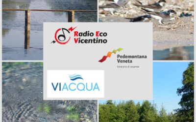 ViAcqua al microfono di Radio Eco Vicentino