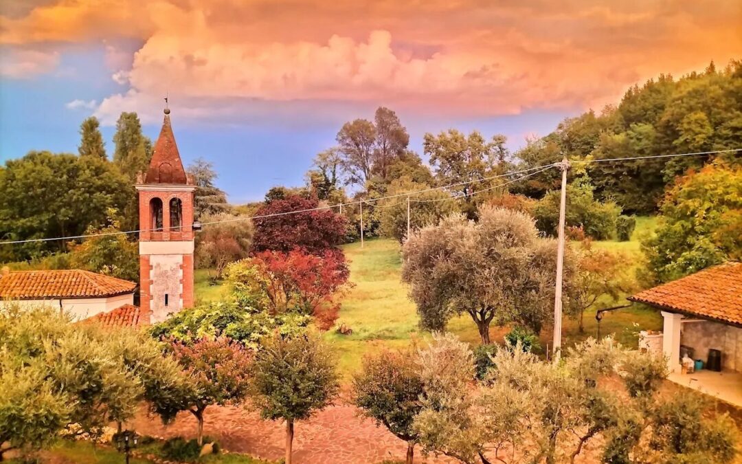 Villa dei Gufi: tra rapaci e natura a Isola Vicentina