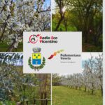 Colceresa raccontato su Radio Eco Vicentino