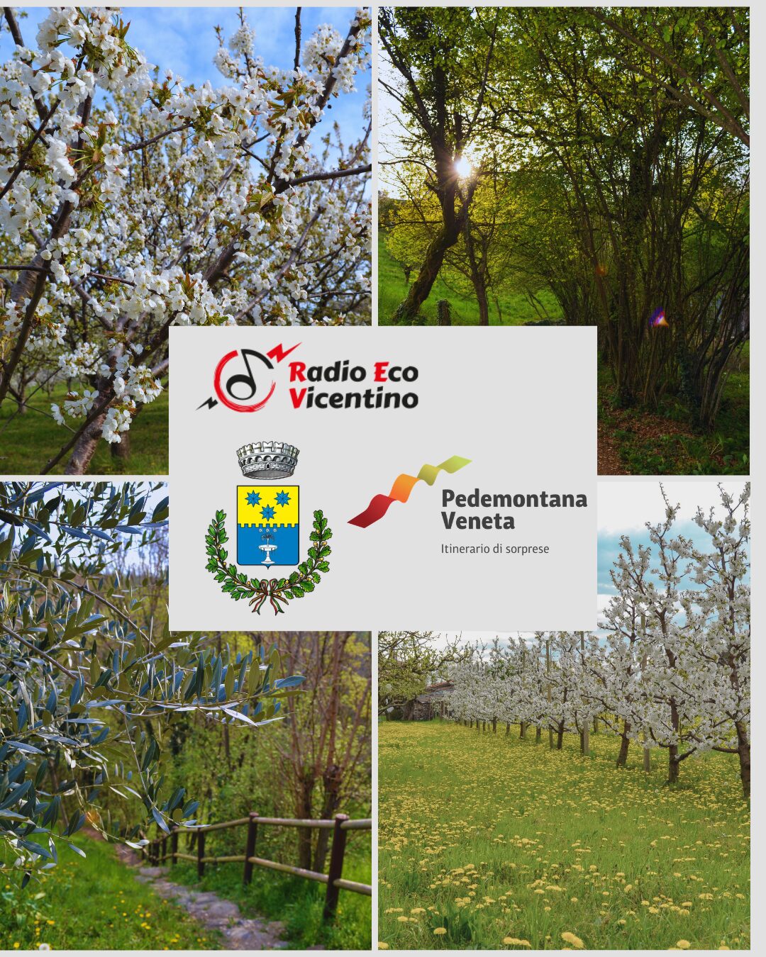 Copertina x interviste Radio (1)