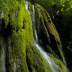Il Bosco delle Cascate di Calvene