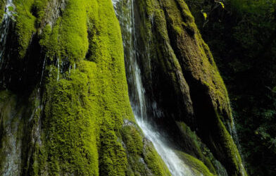 Il Bosco delle Cascate di Calvene