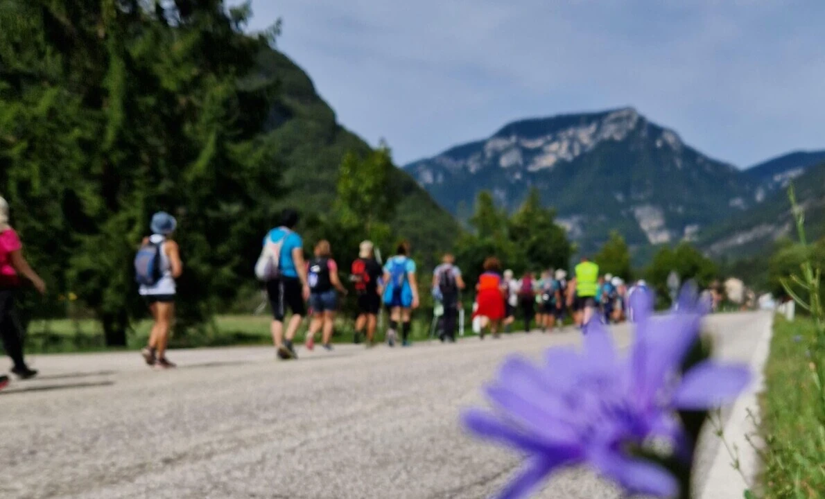 Consorzio delle Pro Loco Alto Astico e Posina