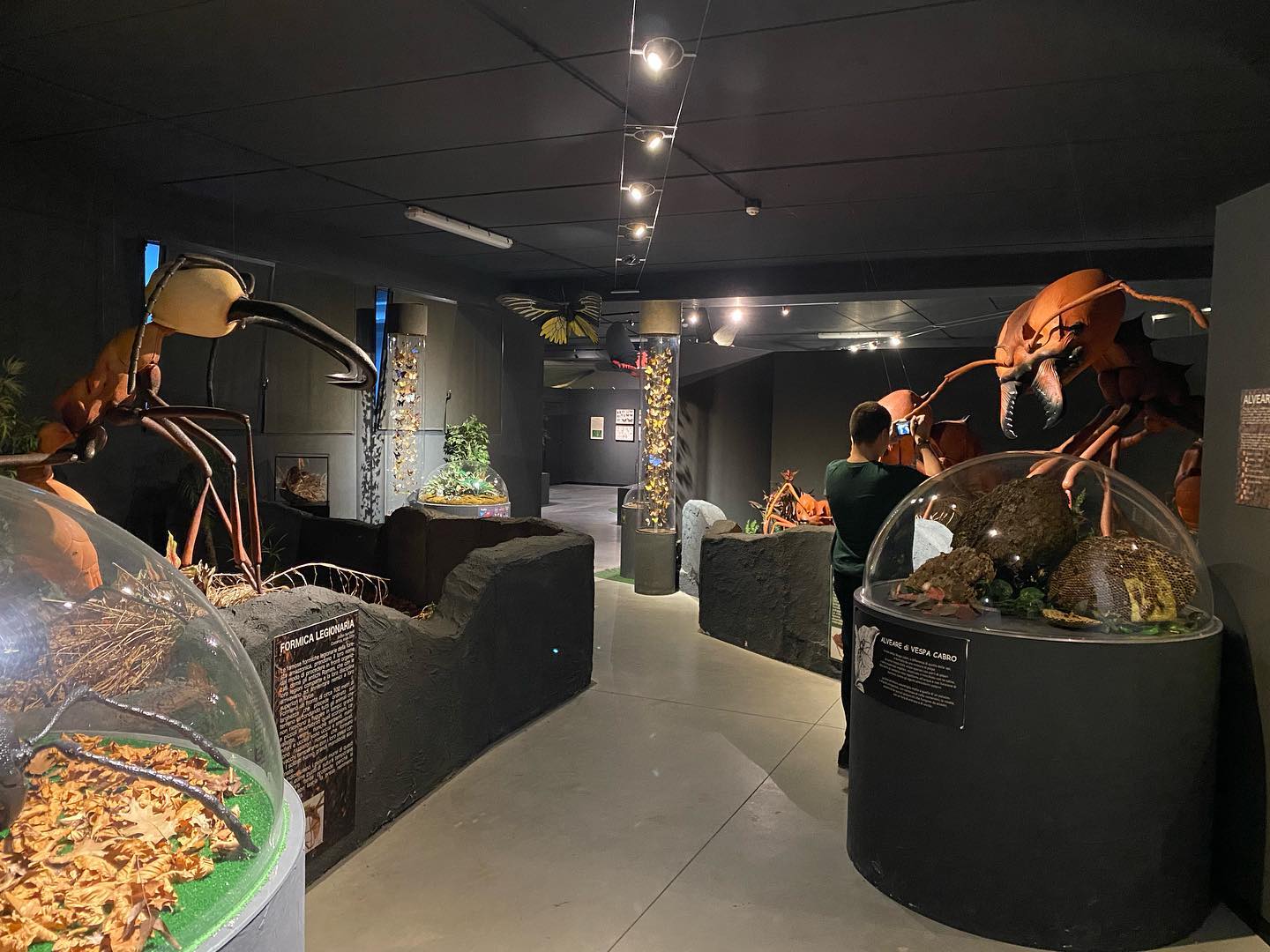 Parco Capppeller museo