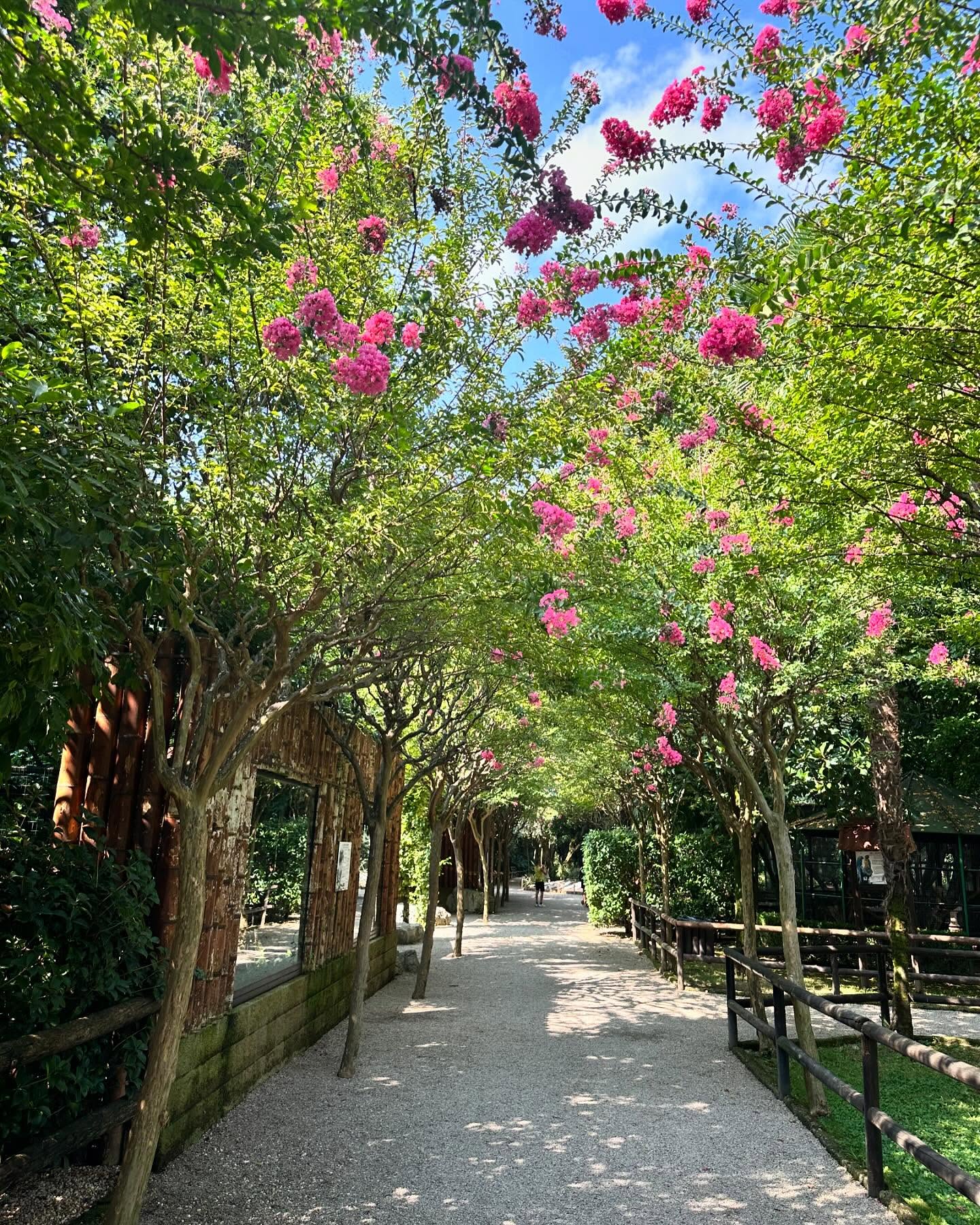 Parco Capppeller di Cartigliano