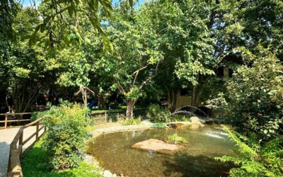 Il Parco Cappeller di Cartigliano