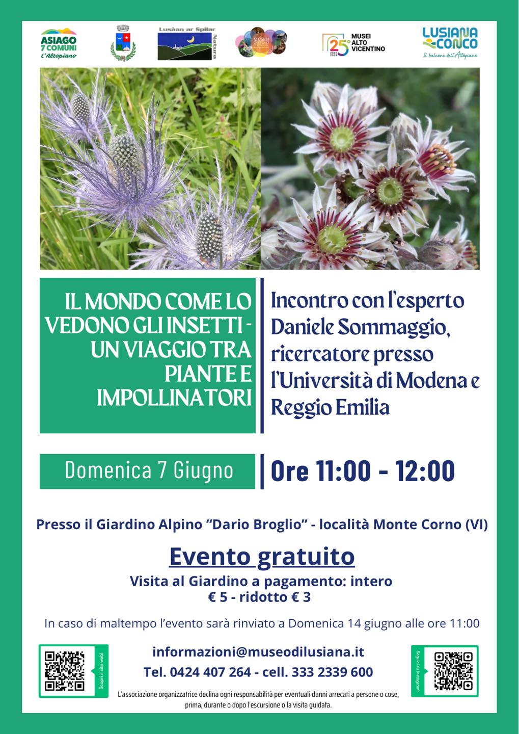 Il mondo come lo vedono gli insetti
