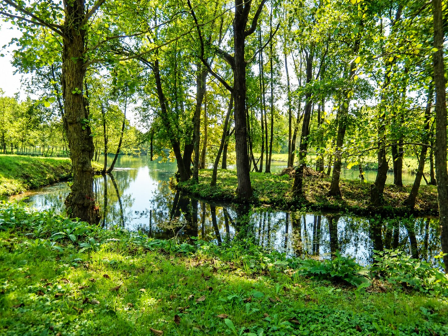 il parco il parco