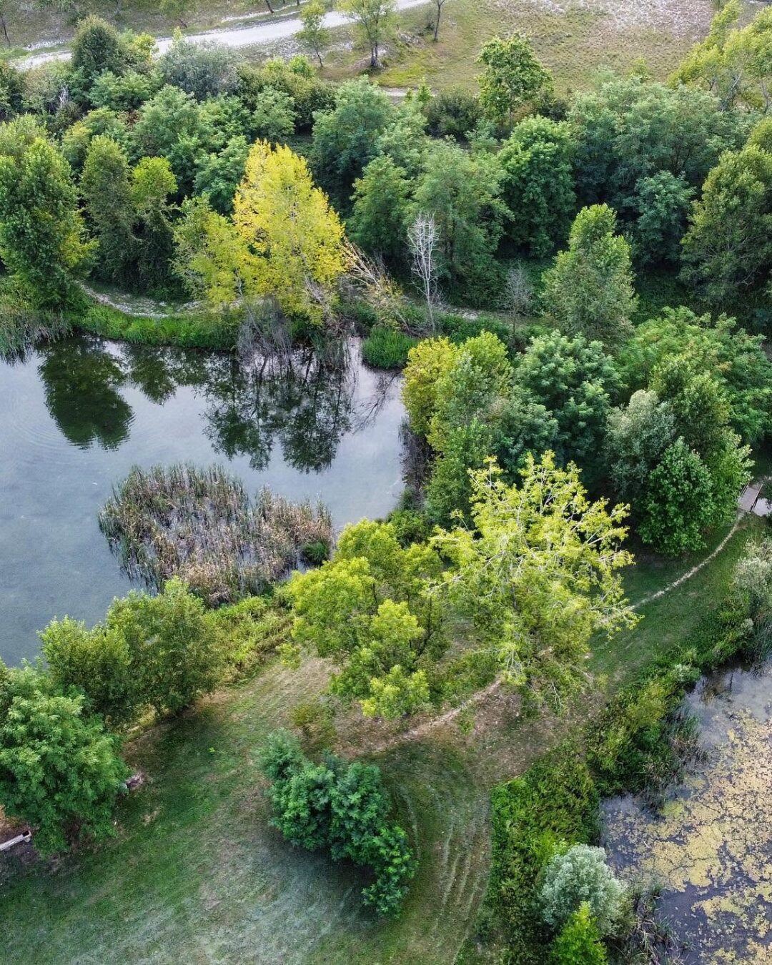 Le Basse del Brenta