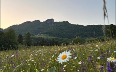 Monte Spitz di Tonezza del Cimone: trekking e panorami