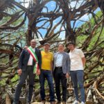 Pedemonte inaugura i Sentieri delle Cascate: natura, storia e il nuovo “Nido” di Marco Martalar