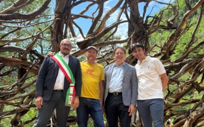 Pedemonte inaugura i Sentieri delle Cascate: natura, storia e il nuovo “Nido” di Marco Martalar