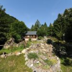 Il Giardino Botanico Alpino San Marco: un’oasi di biodiversità nel cuore del Pasubio