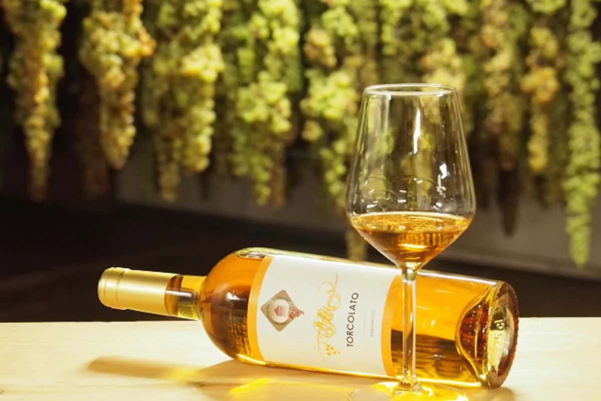 Torcolato di Breganze DOC, vino simbolo della Pedemontana Veneta