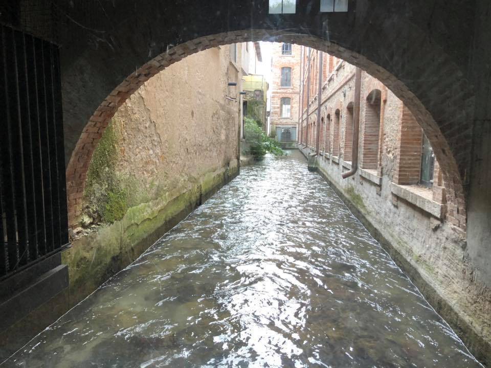 Schio
